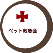 nameのロゴ
