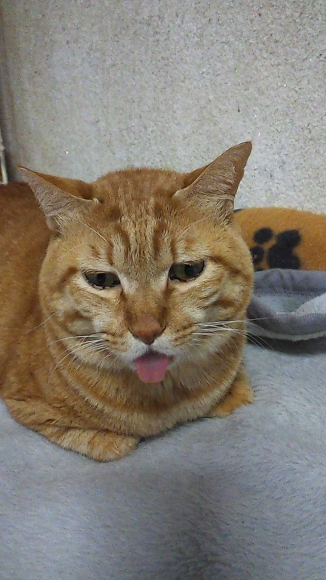 nameのロゴ