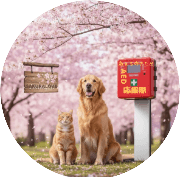 nameのロゴ