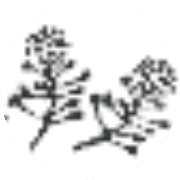 name Logo