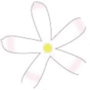 nameのロゴ
