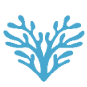 name Logo