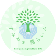 name Logo