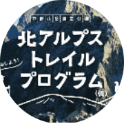 nameのロゴ