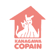 name Logo