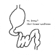 name Logo