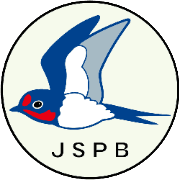 nameのロゴ