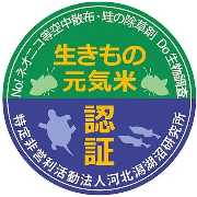 nameのロゴ