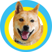 nameのロゴ