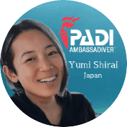 YUMI avatar
