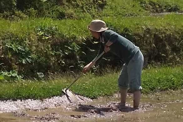 あかねちゃんのアバター