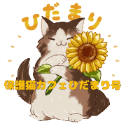 保護猫カフェひだまり号のアバター