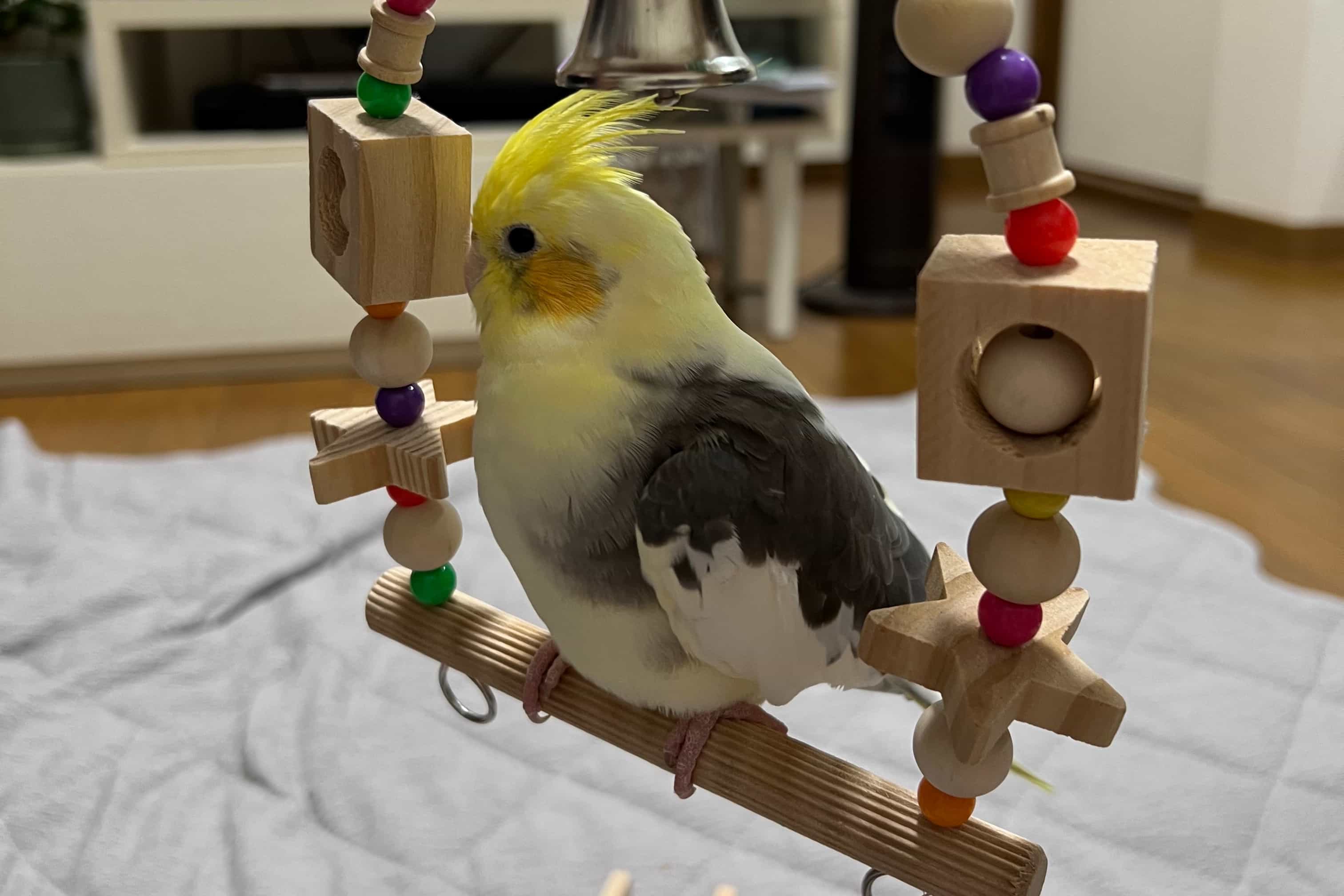 しおりのアバター