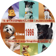 日本聴導犬協会　会長　有馬もとPhDのアバター