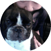 sarucozy avatar