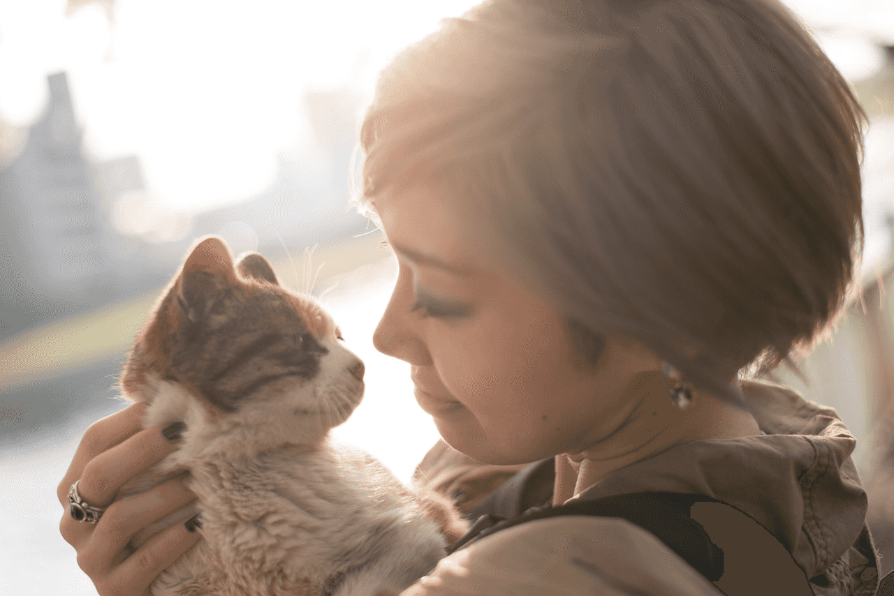 LINDYCATZのアバター