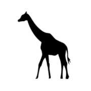 kirinのアバター