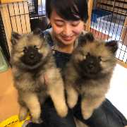 勝山 明日香のアバター