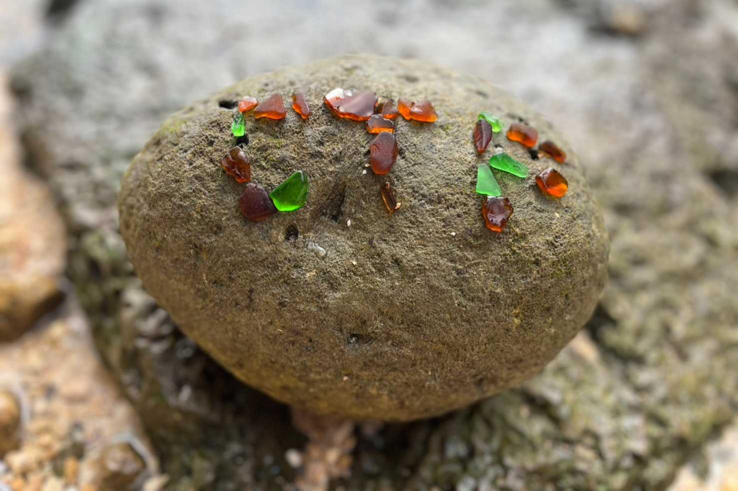 NPOCTFのアバター