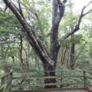 user_86955のアバター