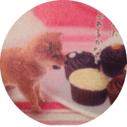 佐藤えりのアバター