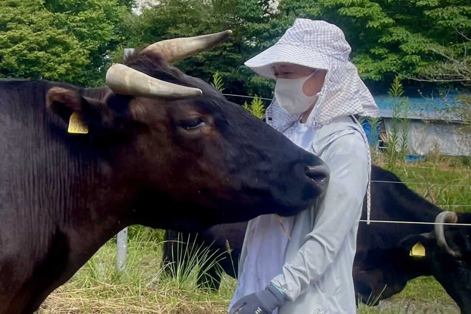 もーもー事務局　山崎のアバター