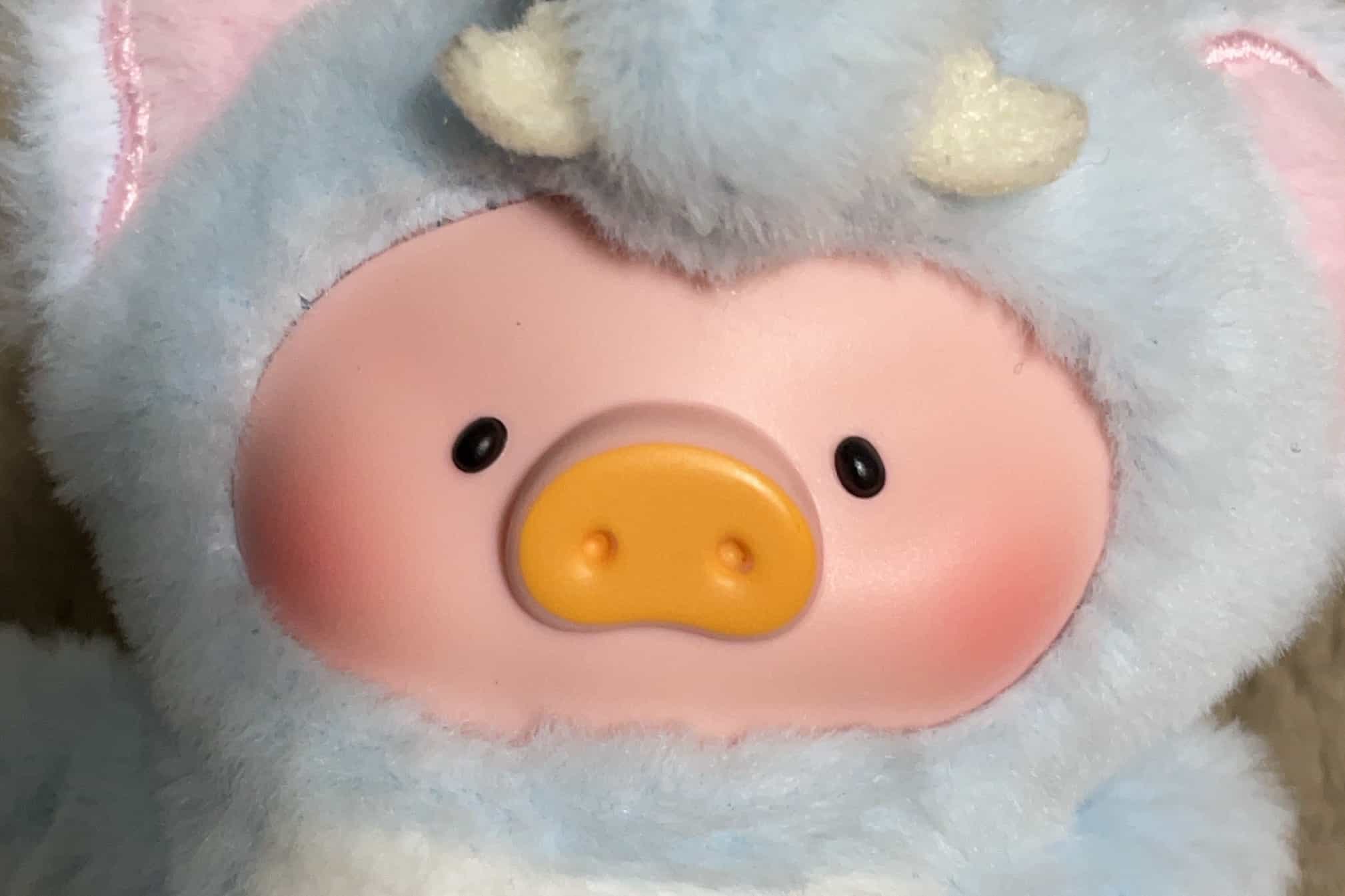 タキカワのアバター