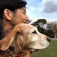 669434d313c745a3のアバター