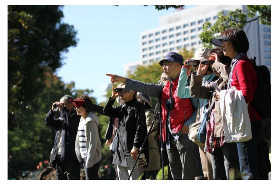 日本野鳥の会東京の画像