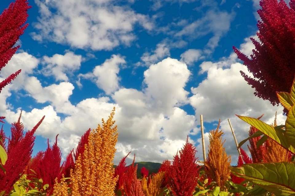 わっこ谷の山福農林舎の画像