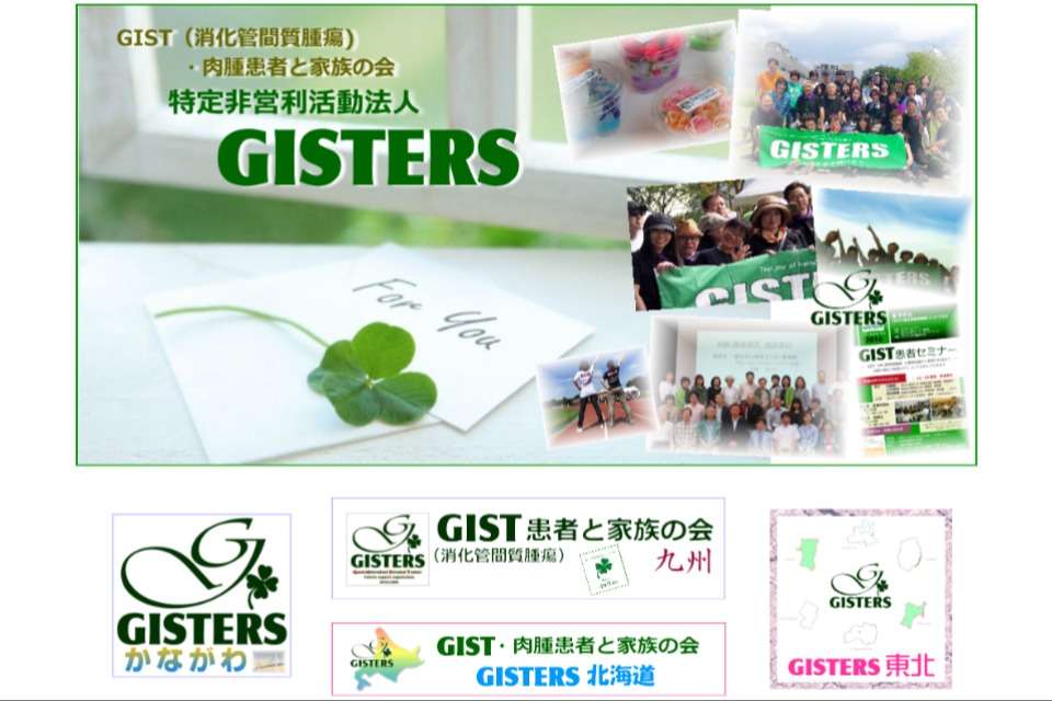 GISTERS Image