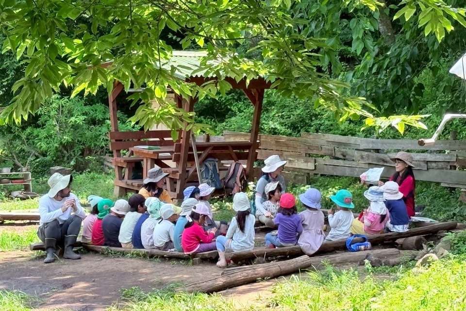 森のピッコロようちえんの画像