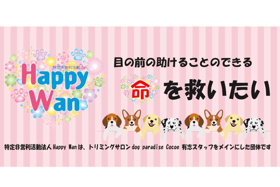 Happy Wanの画像