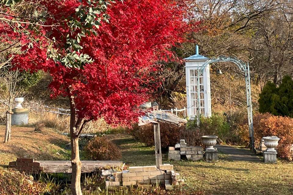 風の電話を守る会の画像