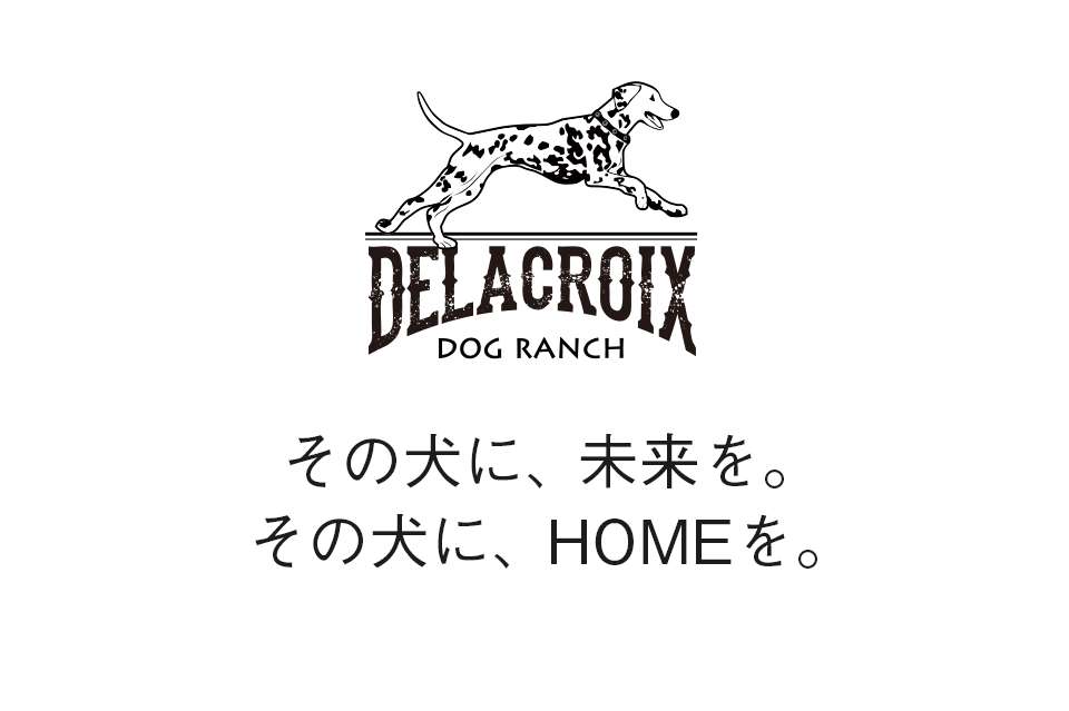 Delacroix Dog Ranchの画像