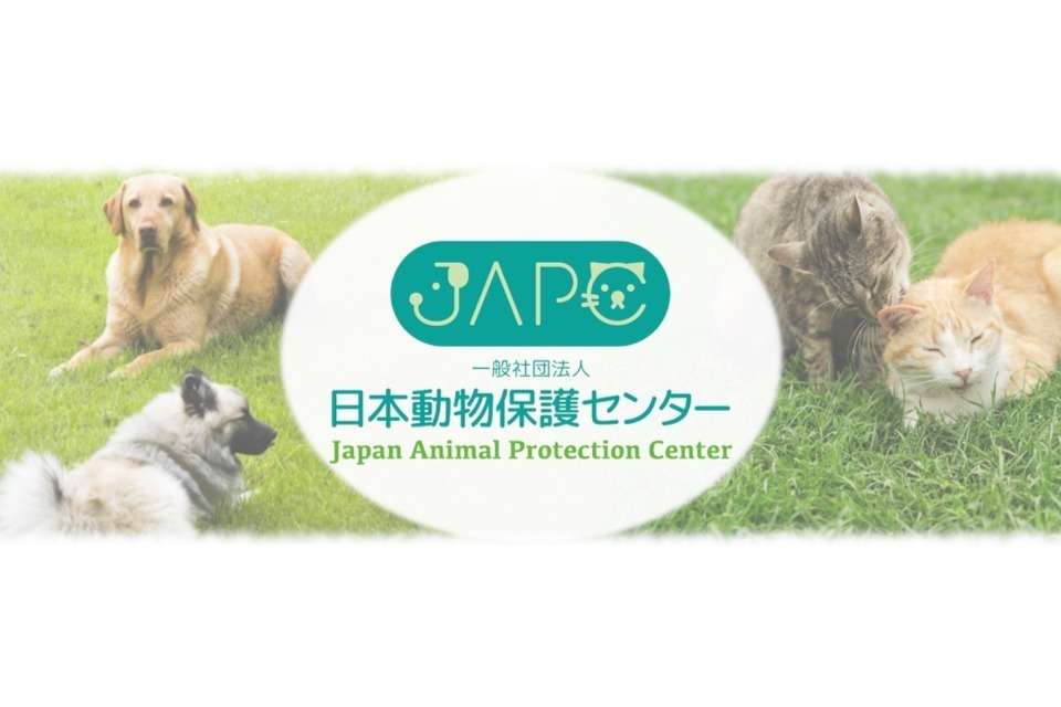一般社団法人日本動物保護センターの画像