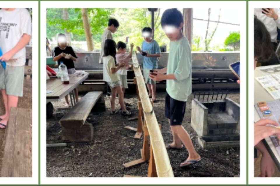 マナビダネの画像
