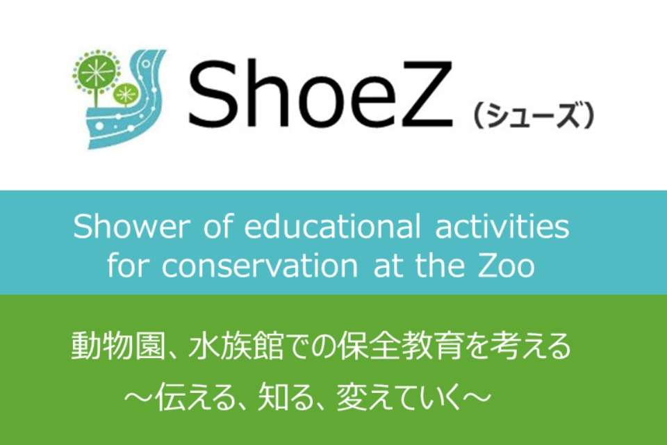 ShoeZ（シューズ）の画像