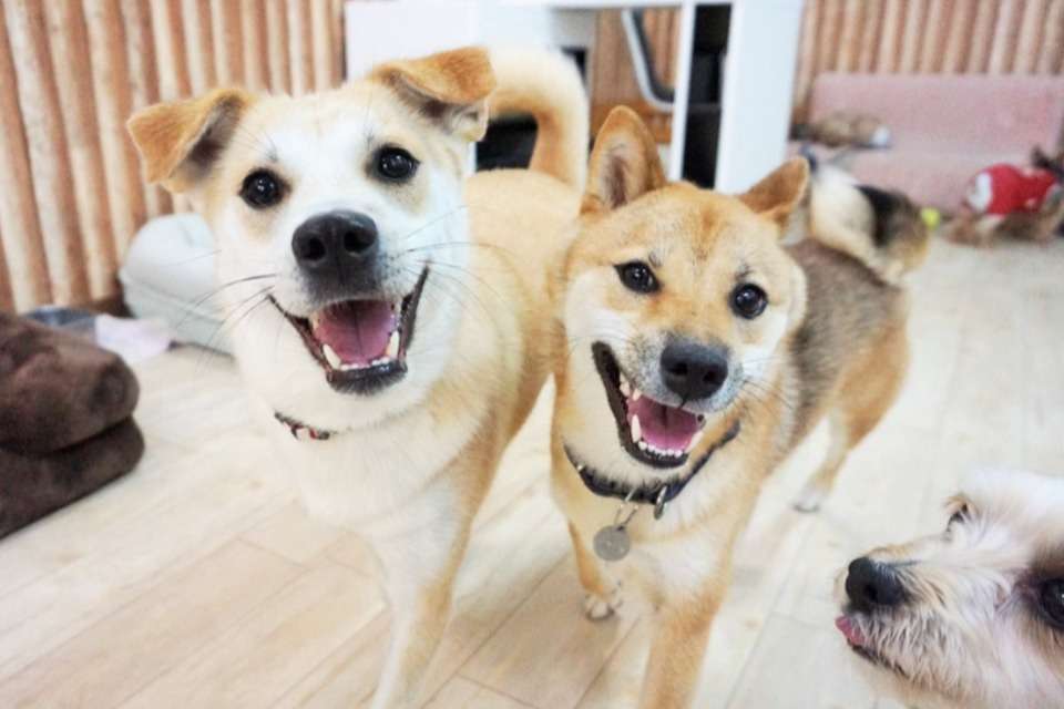 はまじぃの家 Image