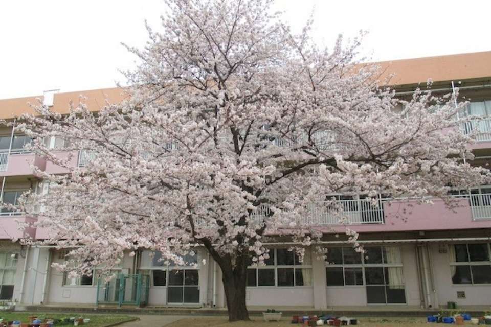 千葉市立新宿小学校PTAの画像