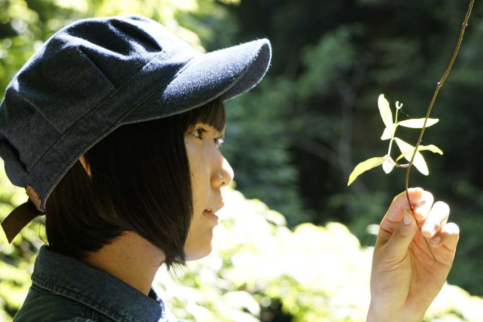 三段峡－太田川流域研究会の画像