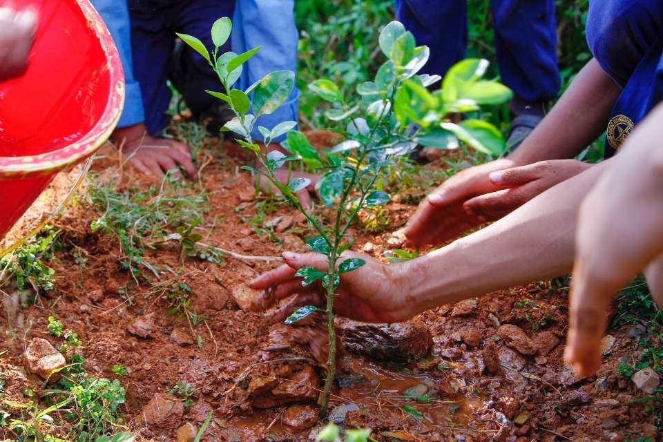 学生団体ラッキーの画像