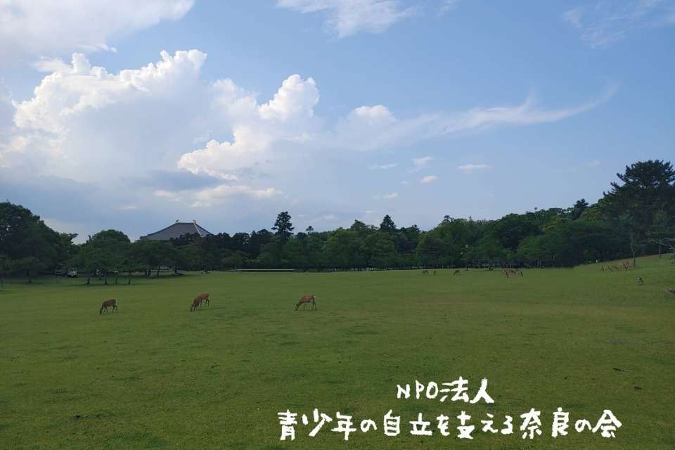 青少年の自立を支える奈良の会の画像