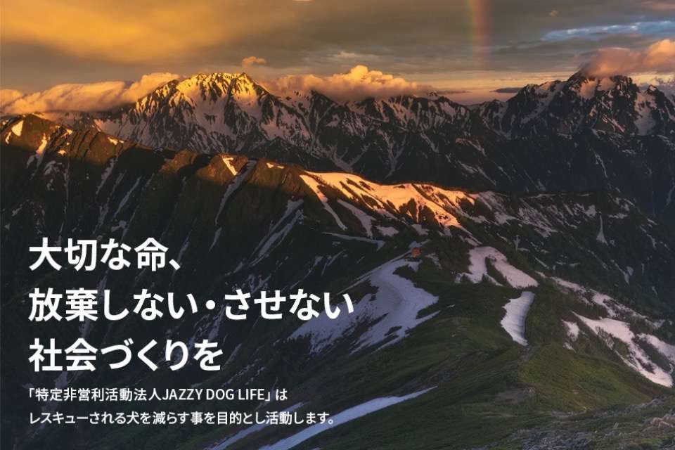 ＪＡＺＺＹ　ＤＯＧ　ＬＩＦＥの画像