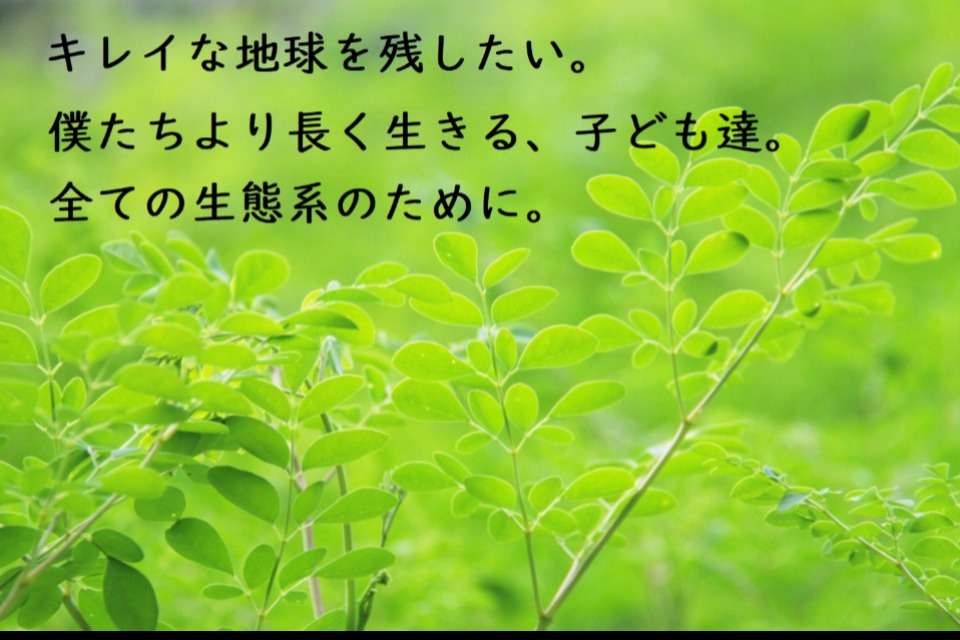 CEE TREE Image