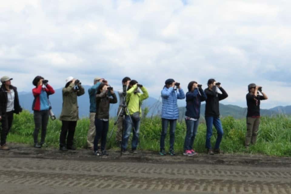 特定非営利活動法人バードリサーチの画像