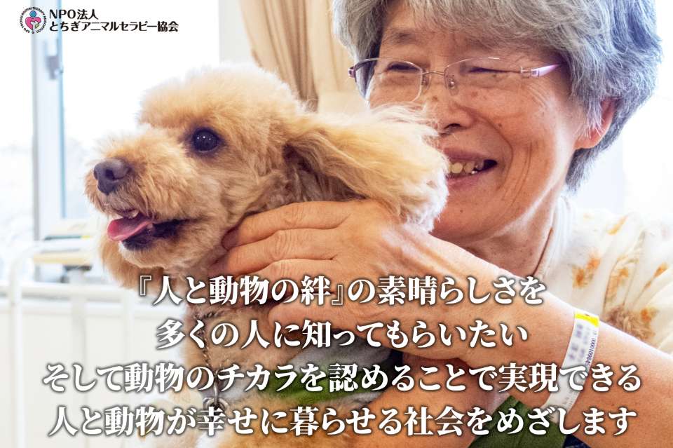 とちぎアニマルセラピー協会の画像