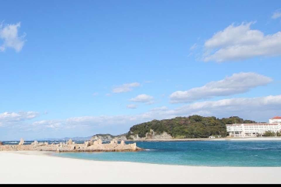 白浜レスキューネットワーク Image