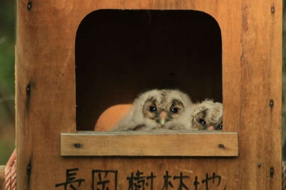 グリーントラストうつのみやの画像