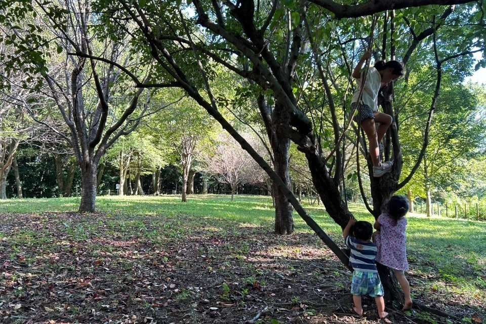 わわわのわ　～みんなでつくる遊びと学びと暮らしの輪～ Image
